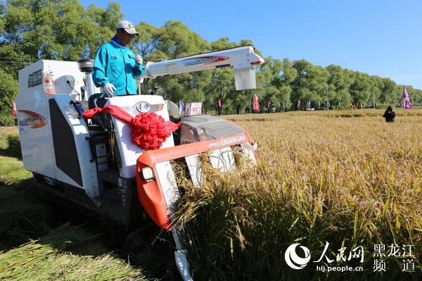 1539420341141716.jpg 微信圖片_20181013164709.jpg